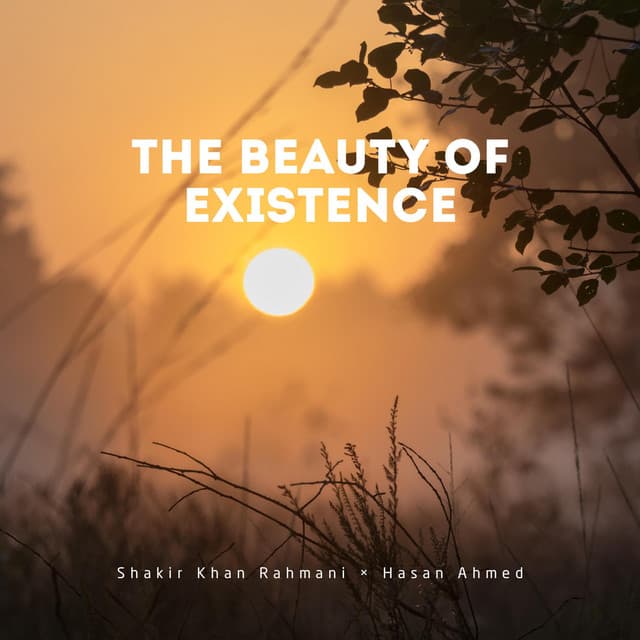 The Beauty of Existence